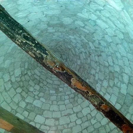 بيت للعطل Trulli Piazza Roma ألبيروبيللو